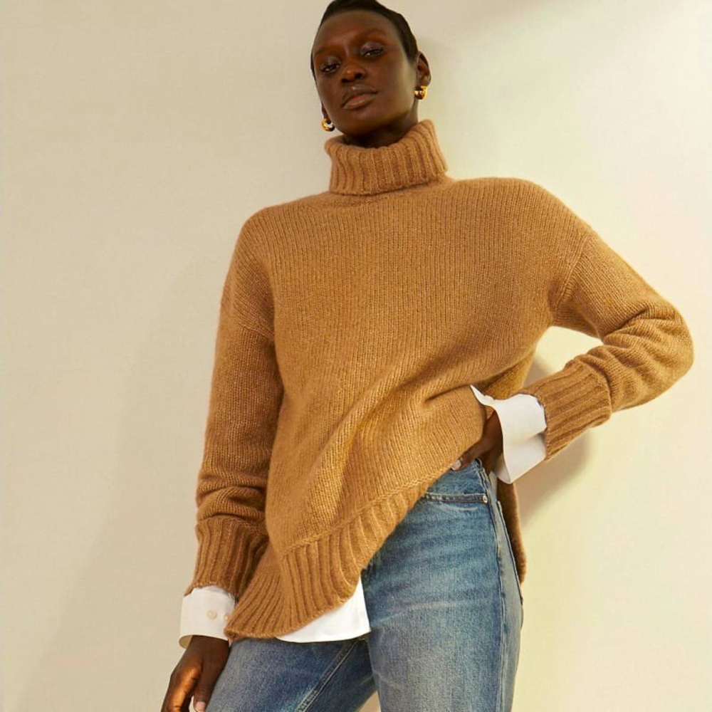 Everlane Cloud Turtleneck